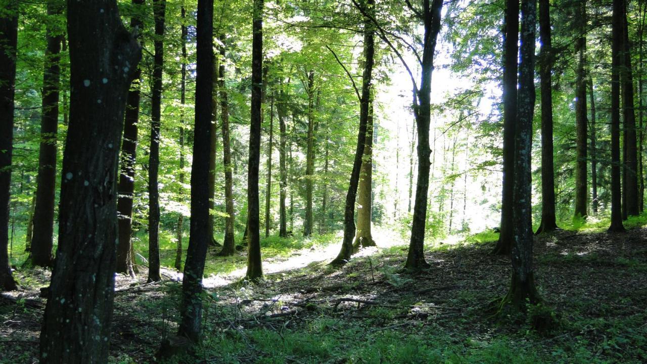 Agroturystyka Zywe Kruklanki Exterior foto