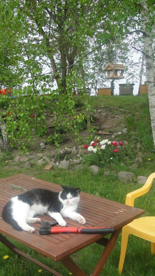 Agroturystyka Zywe Kruklanki Exterior foto