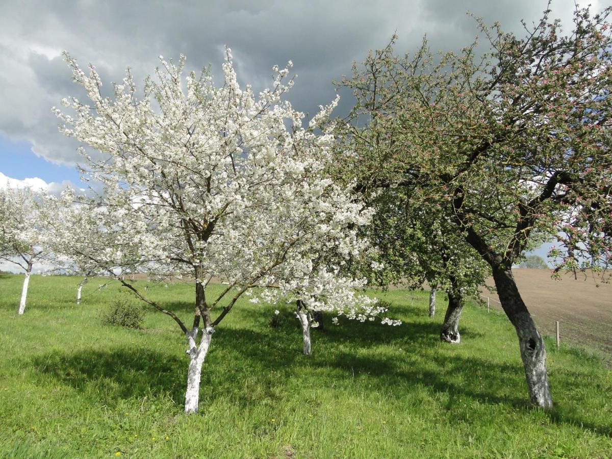 Agroturystyka Zywe Kruklanki Exterior foto