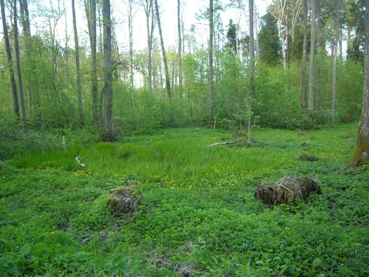 Agroturystyka Zywe Kruklanki Exterior foto